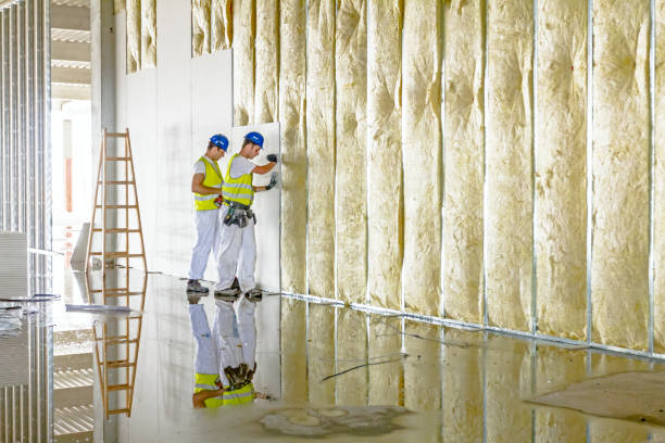 Best Cellulose Insulation in Olean, NY
